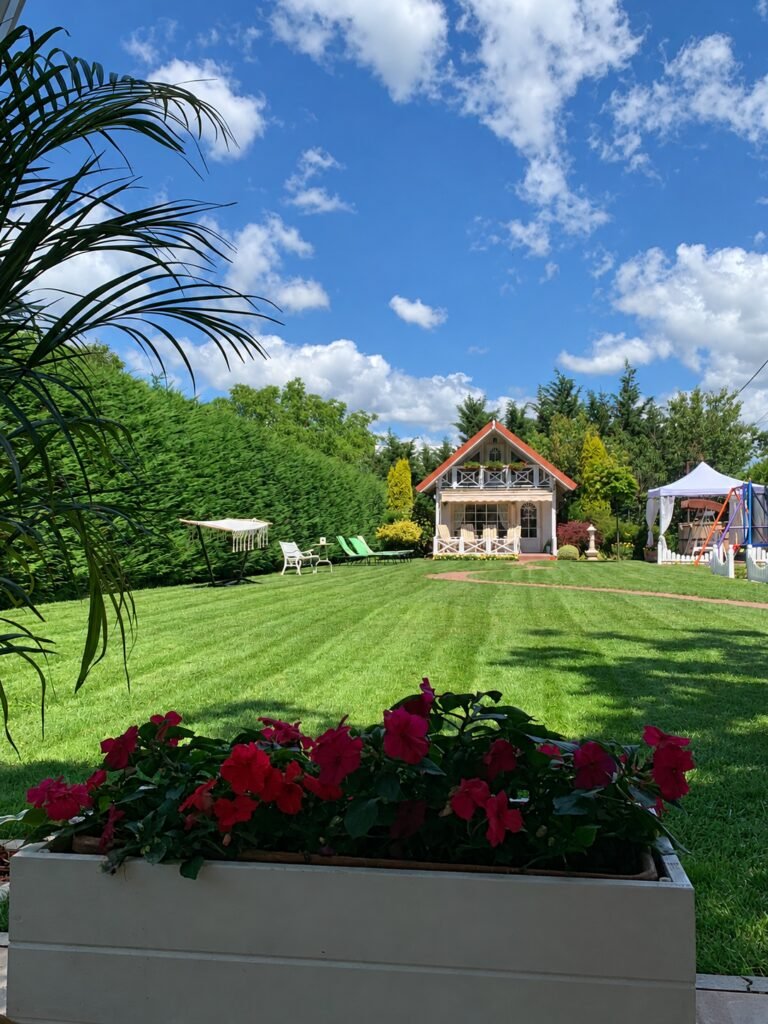 Grădină – fotografia 3