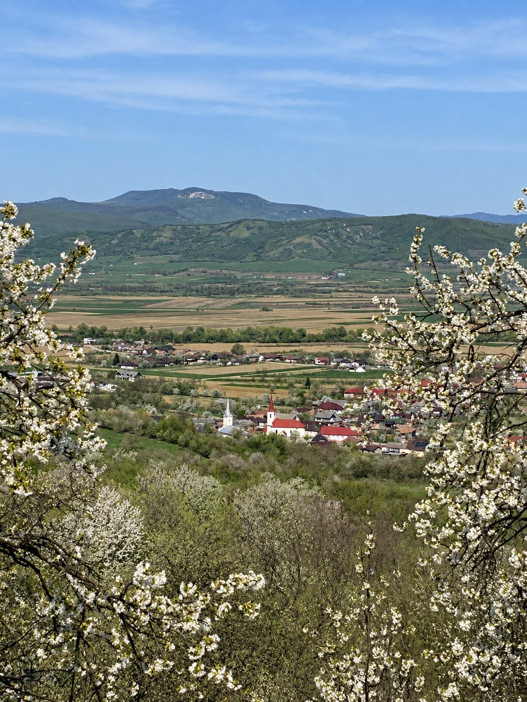Amintiri din Braniștea